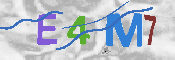 CAPTCHA Image